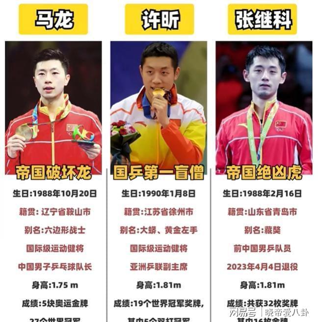 法国队绝杀奥地利队，张继科带队取胜