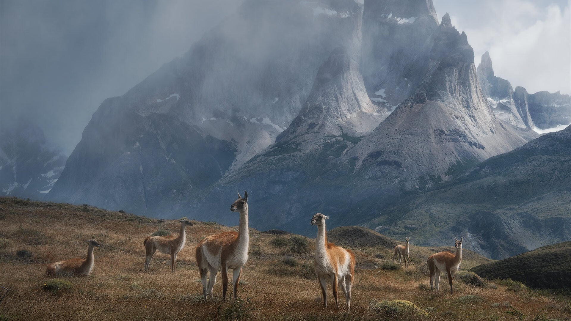 当加勒比磐石遭遇蔚蓝潮汐，哥斯达黎加的铁锁与京多安的密钥