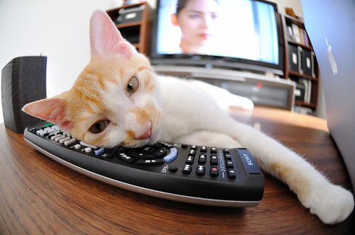 战术僵局,当NBA季后赛遇见地缘博弈