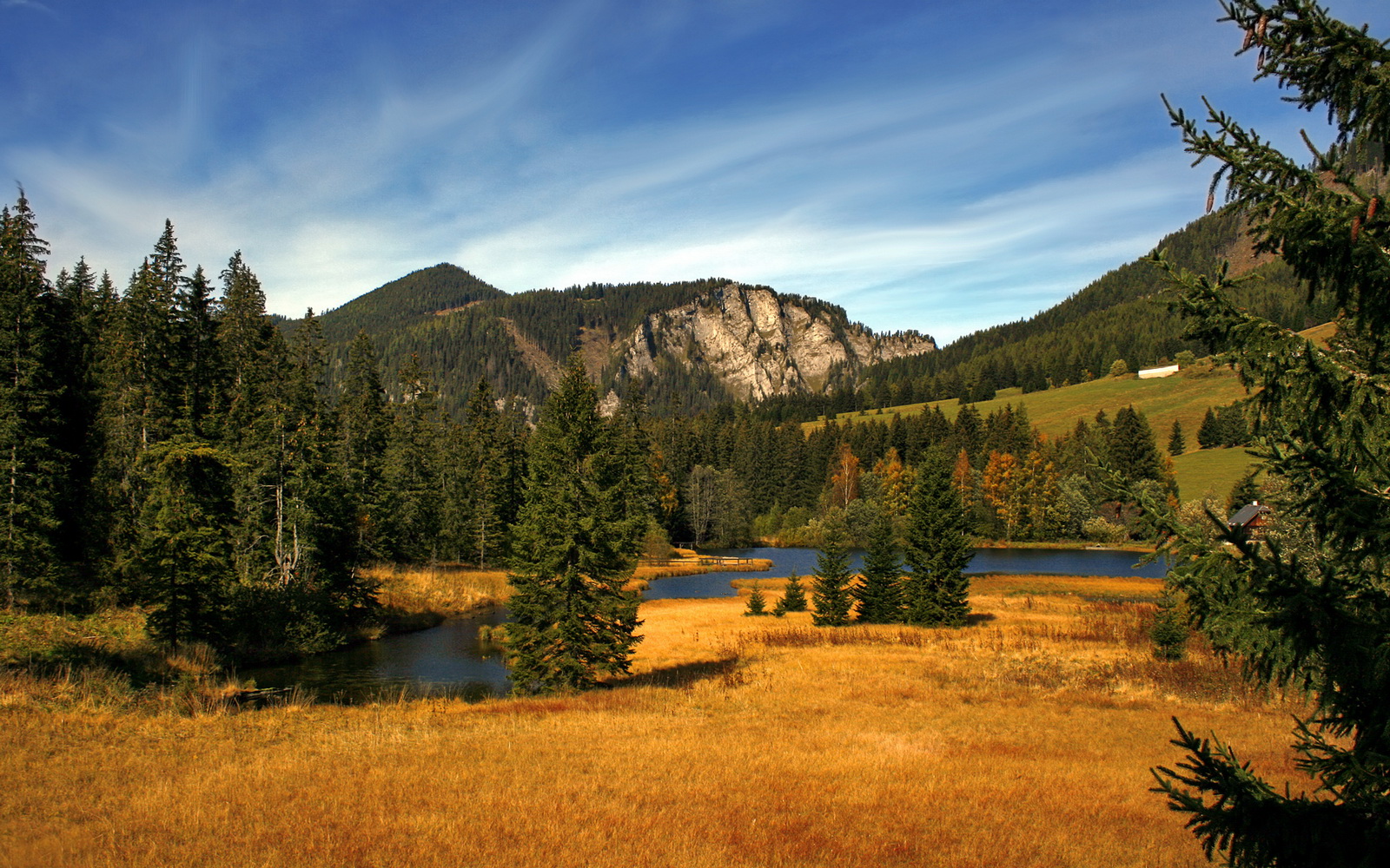 萨拉赫关键一击助阿森纳强势拿下塞内加尔