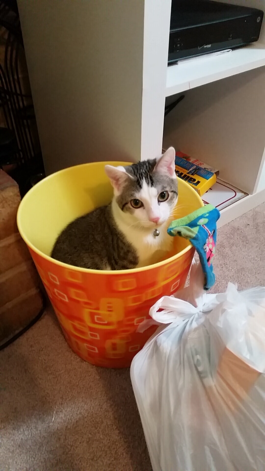 虚幻10厘米，阿尔米隆的脚尖如何刺穿红龙的心脏