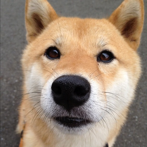 战袍重逢伯纳乌，阿什拉夫十二分钟凌空刀刃，完成命运救赎