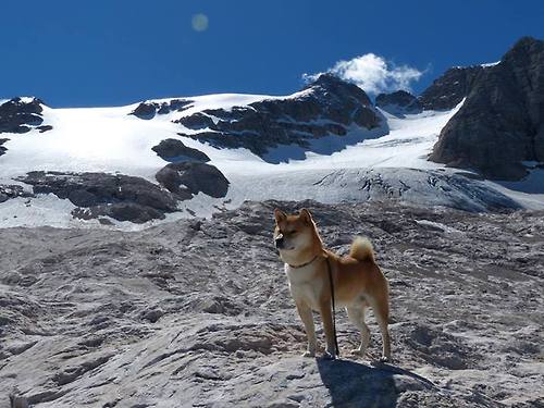 风暴与郁金香,阿尔瓦雷斯点燃战场,荷兰三分钟改写命运