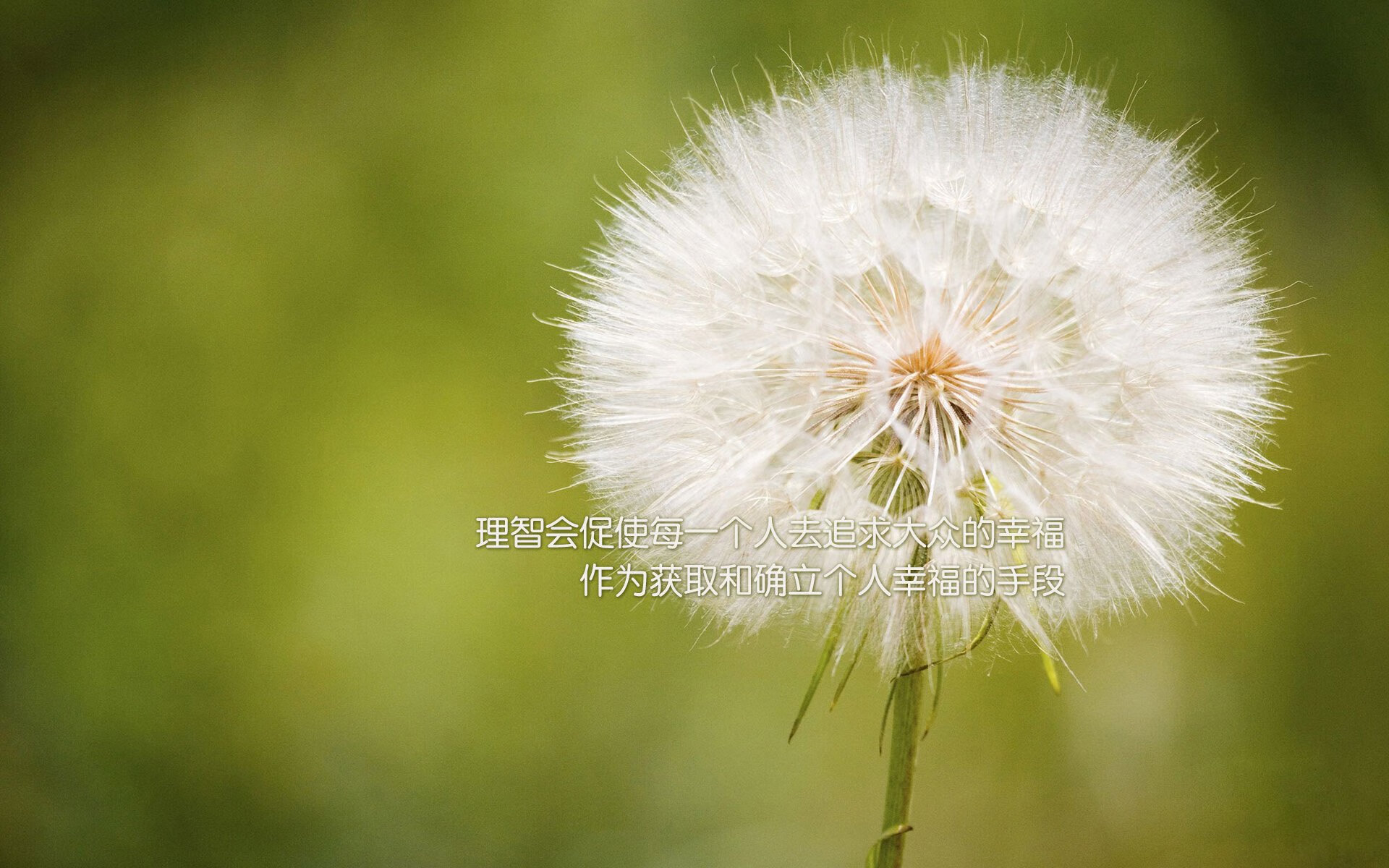 偶然英雄,富安健洋与那不勒斯的关键回合哲学