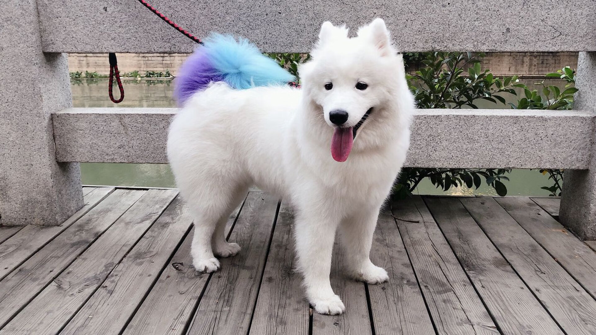 铁壁横江!英格拉姆上演窒息式防守,浙江力克深圳的关键密钥