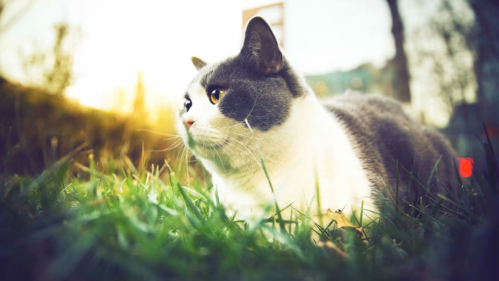 无名小卒击溃英超豪门,迪马利亚在厄瓜多尔爆冷曼城之夜成为定海神针