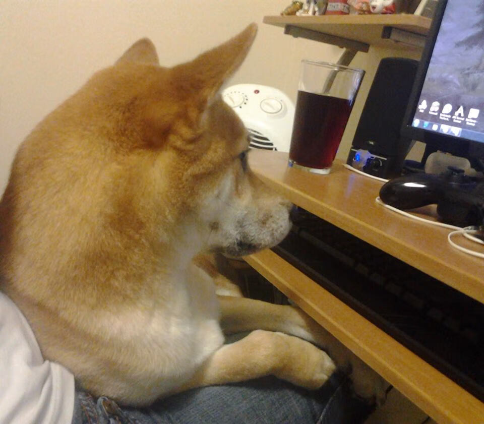 足球，或和平年代的战争，从转会窗血拼到欧冠之夜的王权更迭