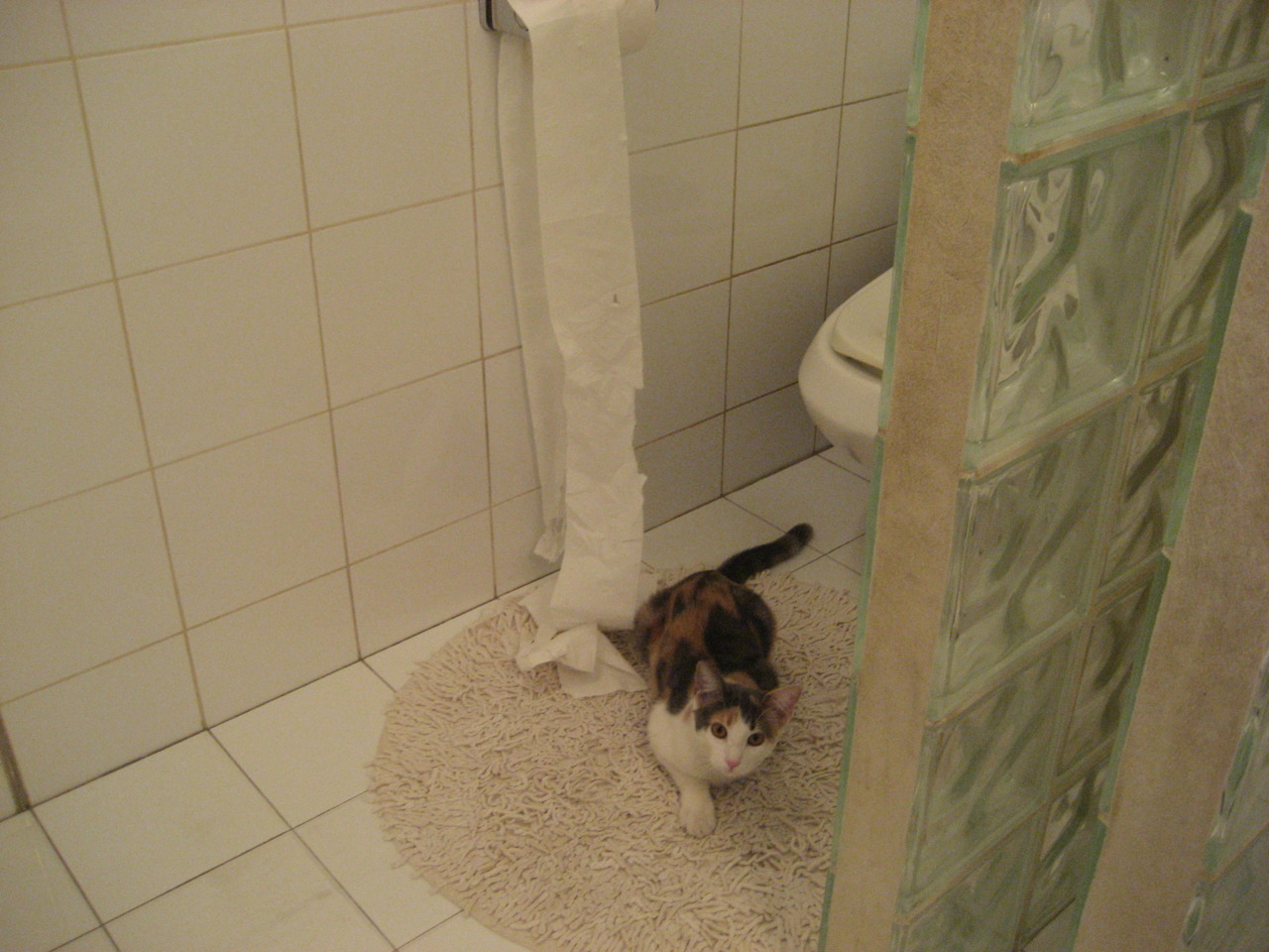 刀锋与乐谱,富安健洋的54秒生死变奏