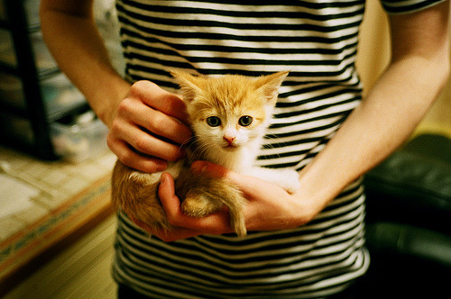 逆转与主宰,跨越洲际的体育英雄叙事