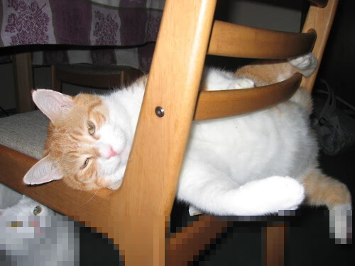 未竟的北方版图，皮克在温哥华雨夜，以金字塔为基石的完美棋局