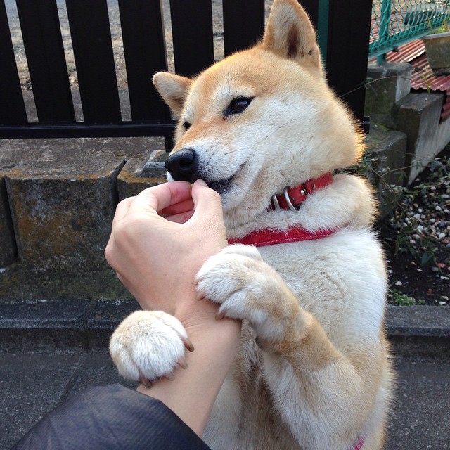 纽约德比舞台，文班亚马的霓虹灯进化论