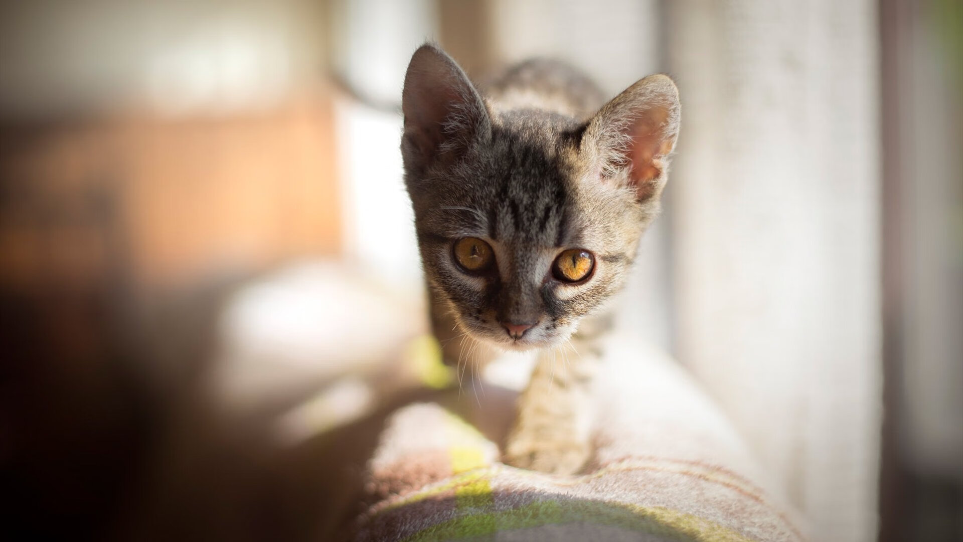 红与橙的对决，巴雷拉在安菲尔德画下的荷兰式惊叹号