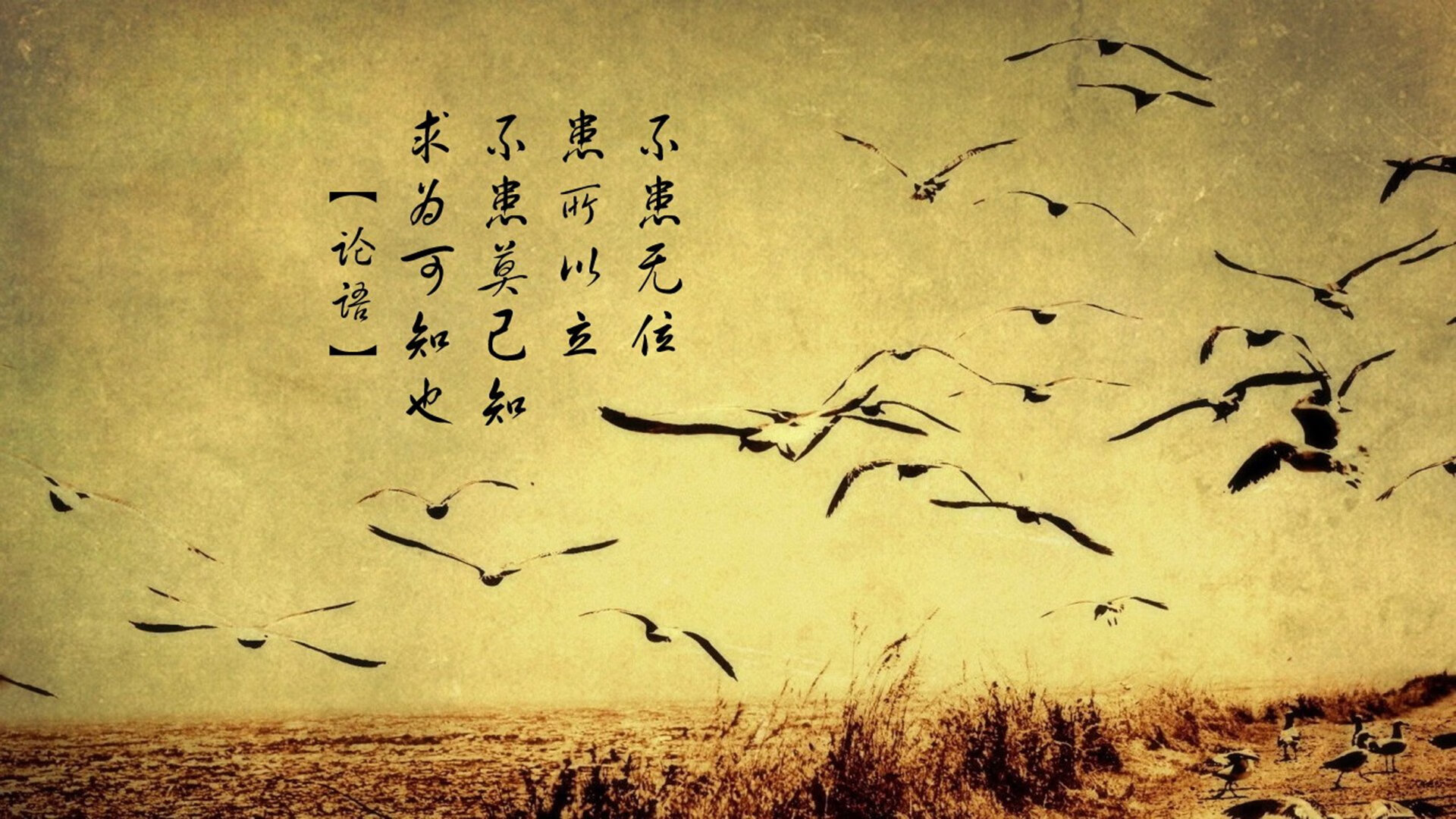 唯一的神迹，2026世界杯G组挪威vs奥地利，三笘薰的绝杀让时间凝固