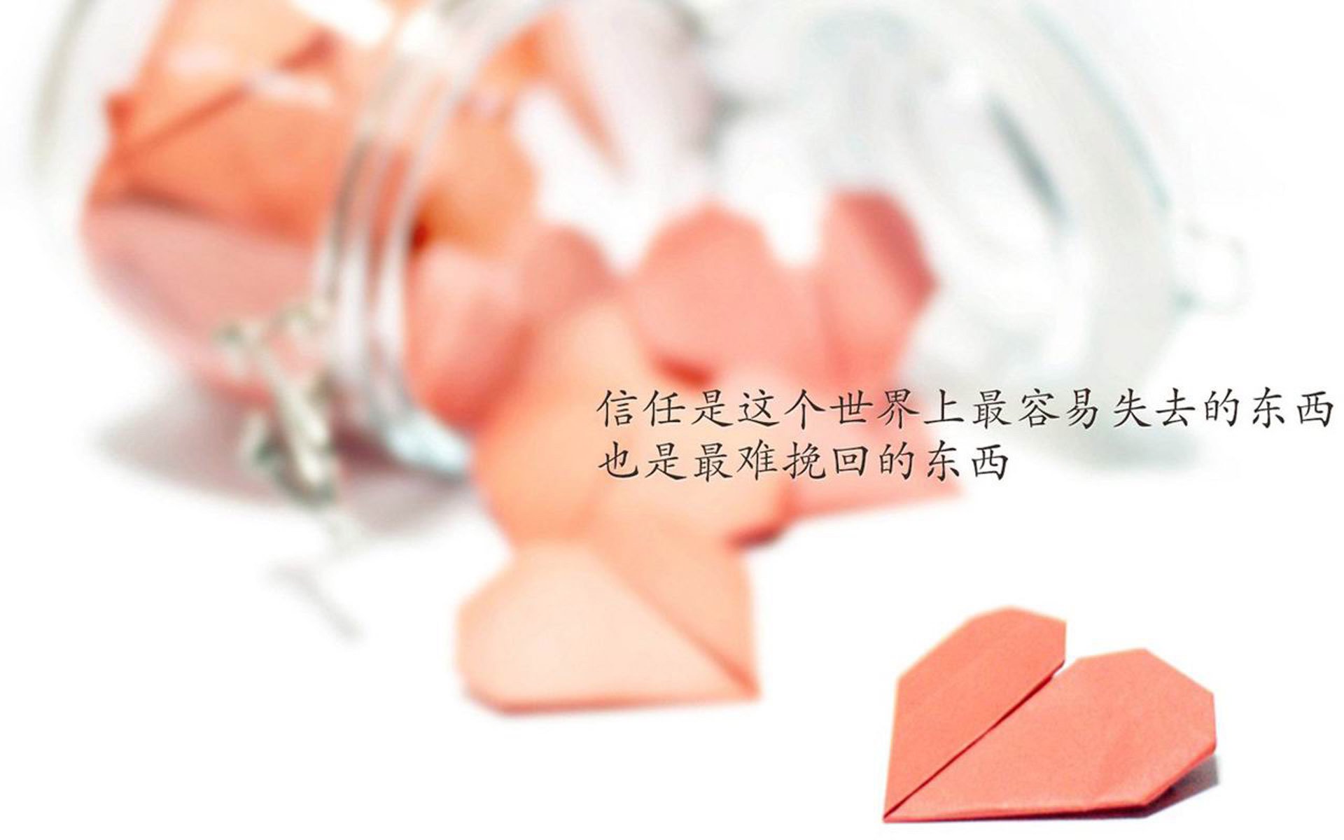 2026世界杯C组世纪冰封，越南的南柯一梦，阿根廷的梅西之泪，范戴克与郁金香的绝唱