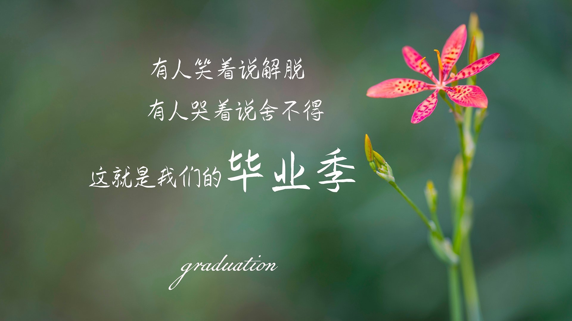 北欧神话燃爆北美,贝林厄姆化身冰火战神,瑞典铁骑碾压墨西哥,门神铸就叹息之墙